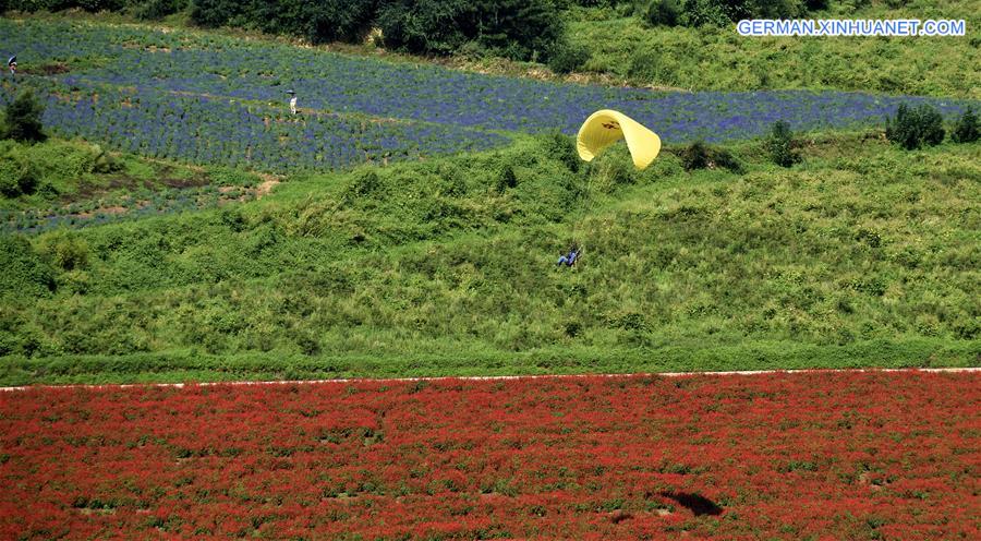 CHINA-BEIJING-BLOSSOMS-TOURISM (CN)