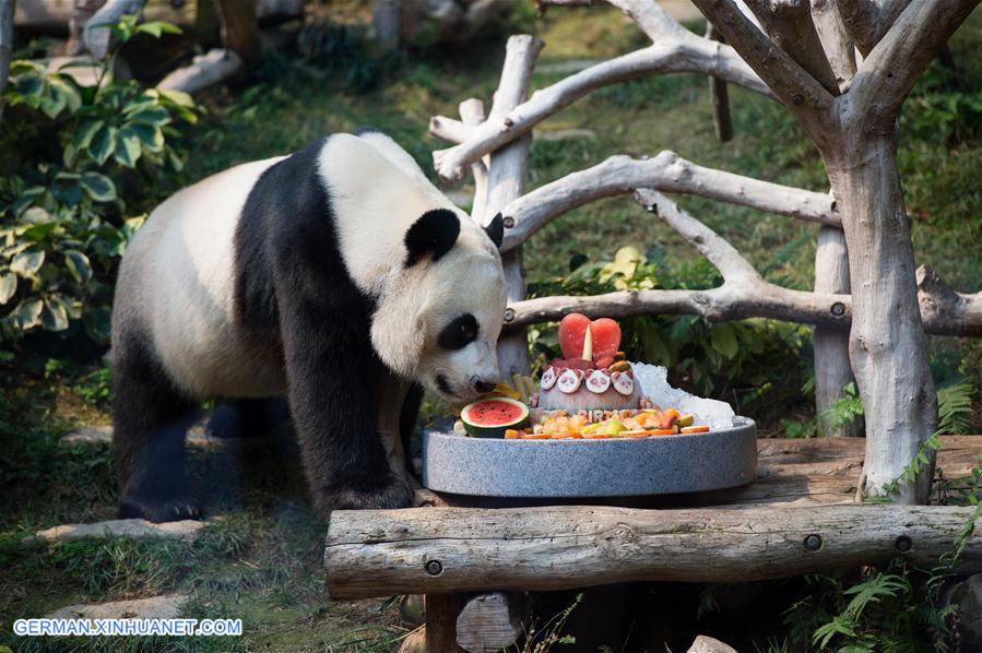 CHINA-MACAO-GIANT PANDA-BIRTHDAY PARTY (CN)