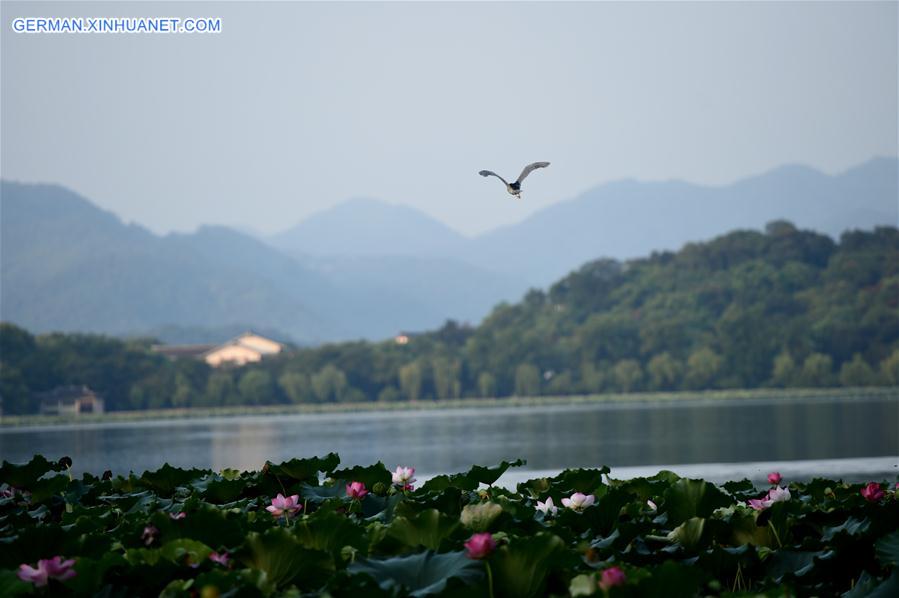 CHINA-HANGZHOU-WEST LAKE-MORNING(CN)