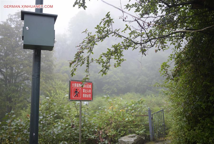 CHINA-CHENGDU-GIANT PANDA-RETURN TO WILD-TRAINING (CN)