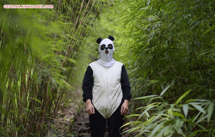 CHINA-CHENGDU-GIANT PANDA-RETURN TO WILD-TRAINING (CN)