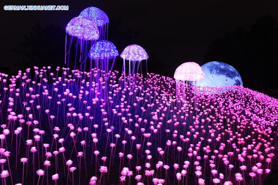 CHINA-FUZHOU-LED LIGHTING SHOW (CN)