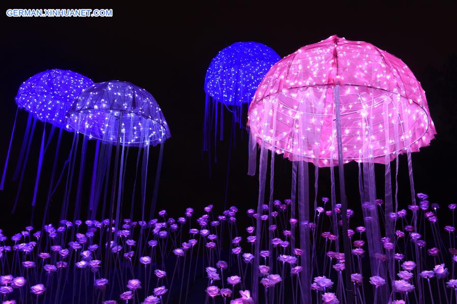 CHINA-FUZHOU-LED LIGHTING SHOW (CN)