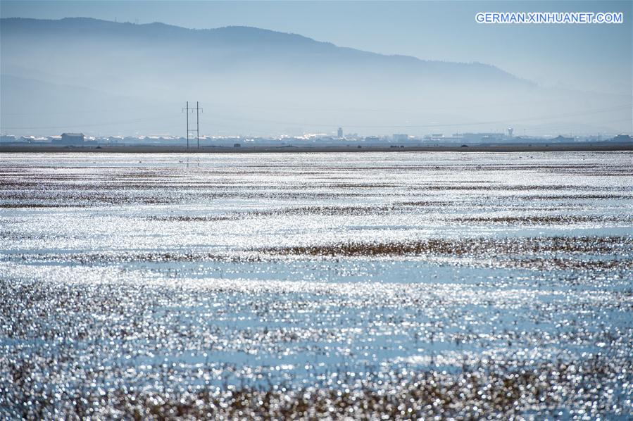 CHINA-SHANGRI-LA-NAPA LAKE-SCENERY (CN)