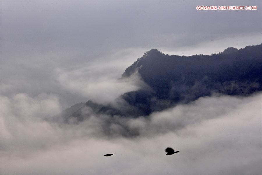 #CHINA-HUBEI-DABIE MOUNTAIN-CLOUDS (CN)