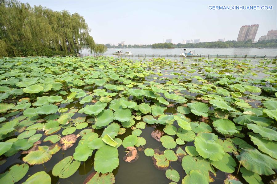 CHINA-JINAN-DAMING LAKE-TICKET FREE (CN)