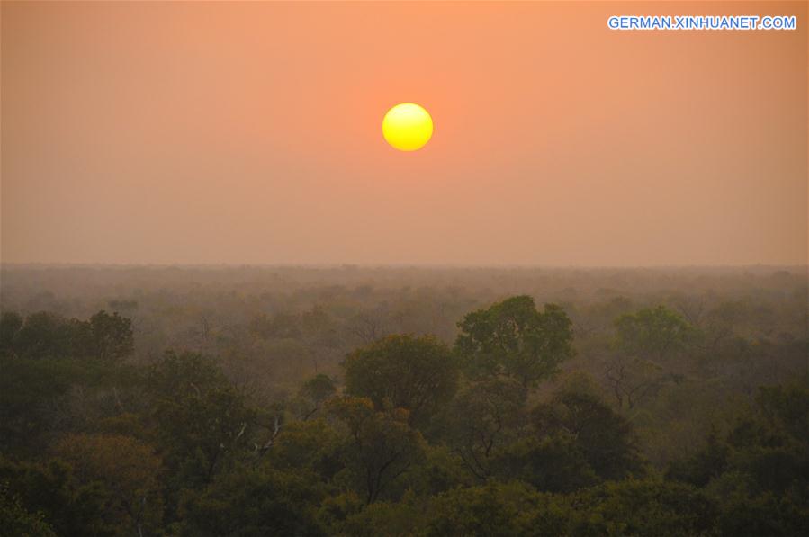 GHANA-MOLE NATIONAL PARK-WILDLIFE