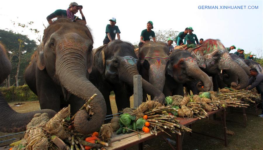 NEPAL-CHITWAN-ELEPHANT FESTIVAL 