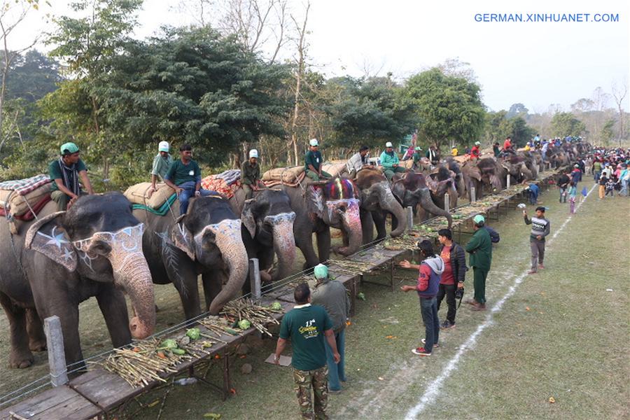 NEPAL-CHITWAN-ELEPHANT FESTIVAL 
