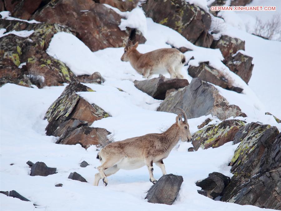 XINHUA PHOTO WEEKLY CHOICES