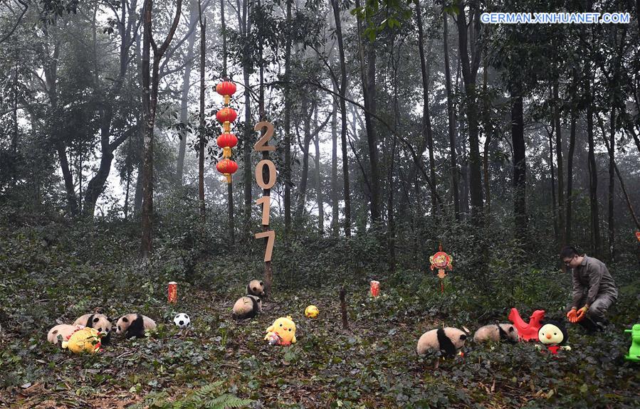 CHINA-SICHUAN-YA'AN-GIANT PANDA (CN)