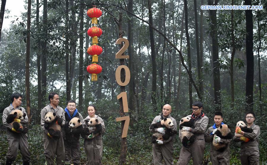 CHINA-SICHUAN-YA'AN-GIANT PANDA (CN)