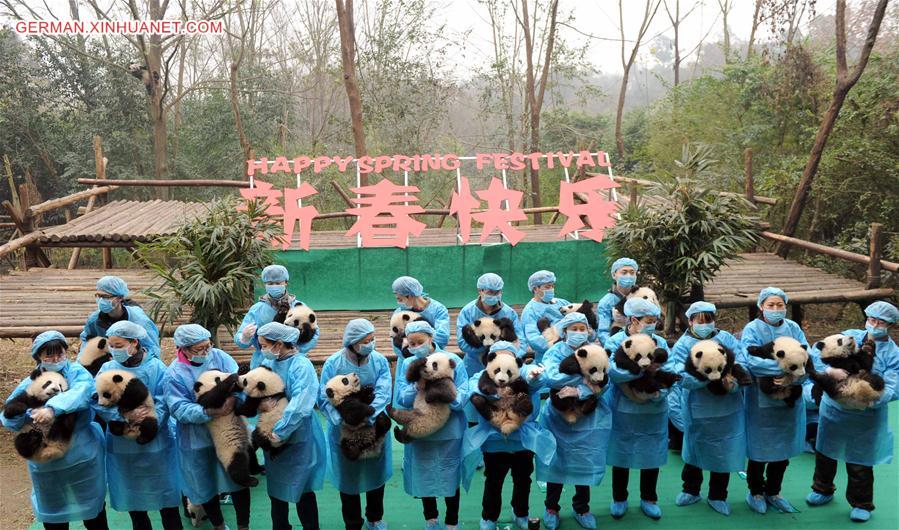 CHINA-CHENGDU-GIANT PANDA CUBS (CN)