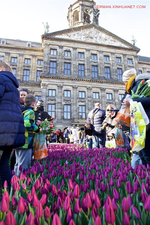 NETHERLANDS-AMSTERDAM-NATIONAL TULIP DAY