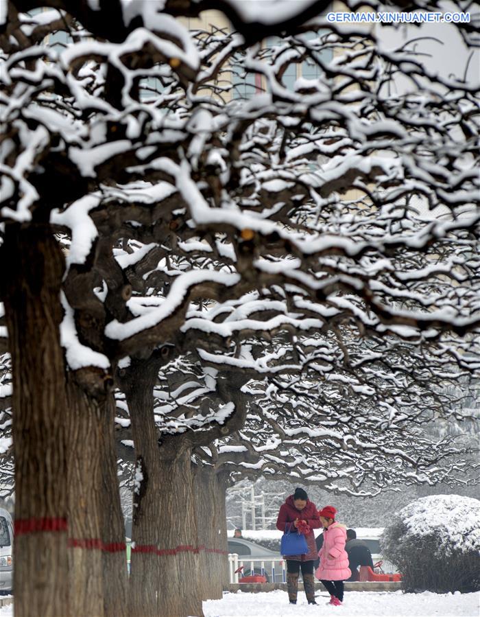 #CHINA-WEATHER-SNOWFALL (CN)