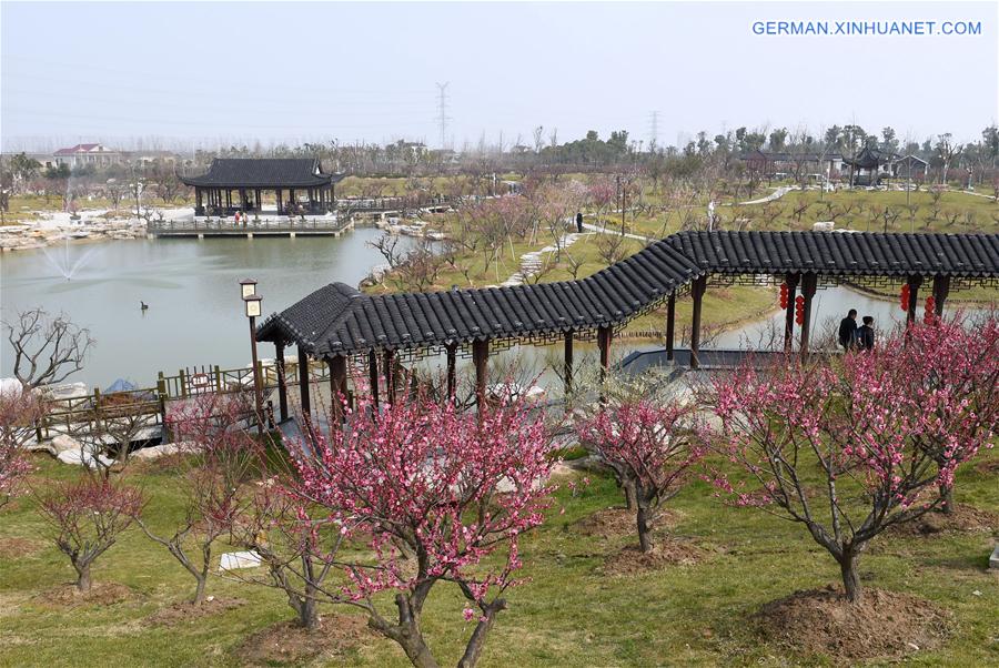 CHINA-JIANGSU-PLUM BLOSSOM FESTIVAL (CN)