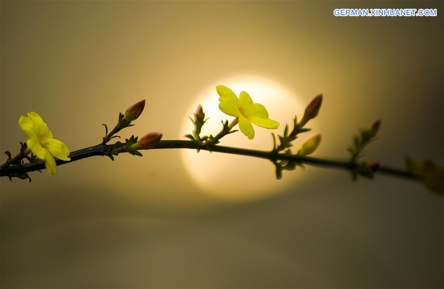 XINHUA PHOTO WEEKLY CHOICES (CN)