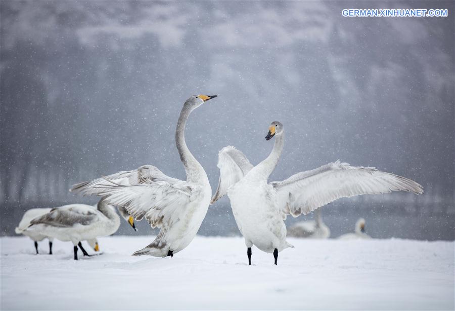 XINHUA PHOTO WEEKLY CHOICES (CN)