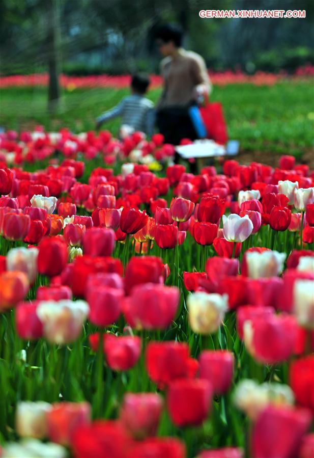 CHINA-JIANGXI-NANCHANG-SPRING FLOWERS (CN)