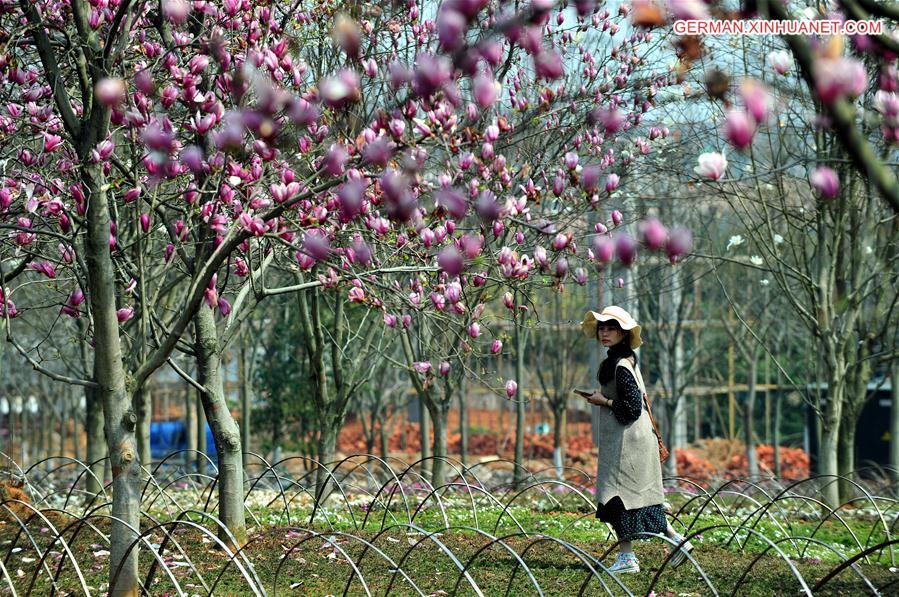 CHINA-JIANGXI-NANCHANG-SPRING FLOWERS (CN)