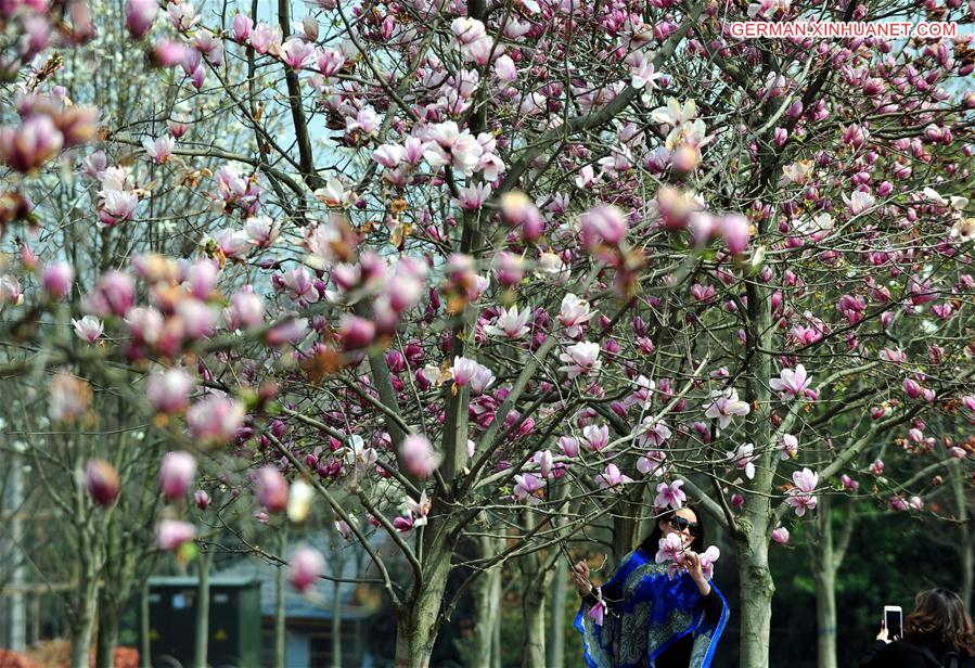 CHINA-JIANGXI-NANCHANG-SPRING FLOWERS (CN)