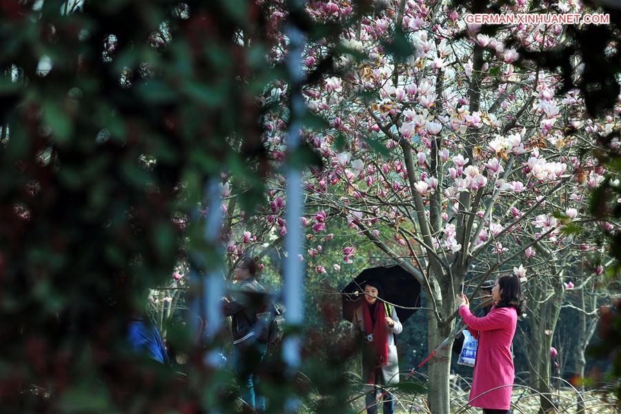 CHINA-JIANGXI-NANCHANG-SPRING FLOWERS (CN)