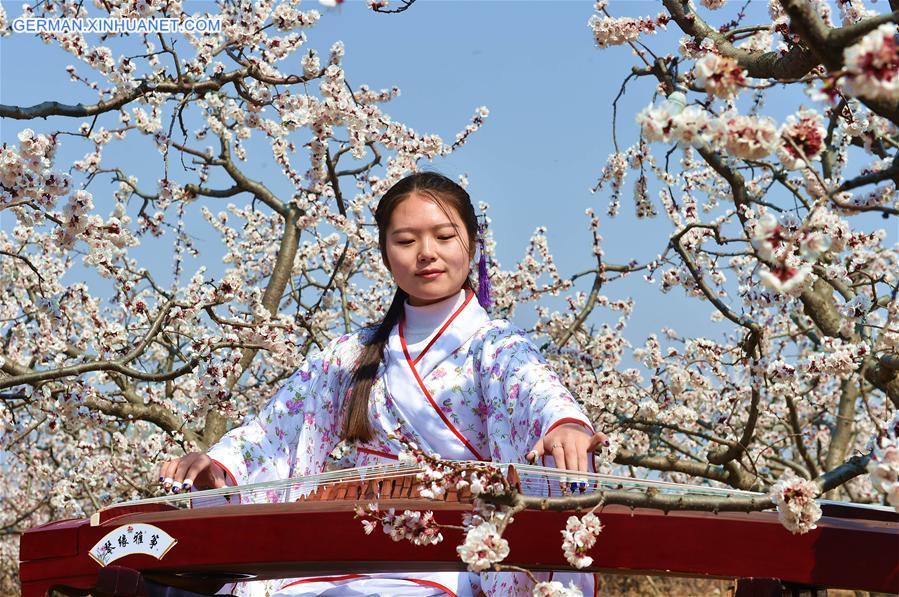 CHINA-SHANXI-YUNCHENG-SPRING SCENERY(CN)