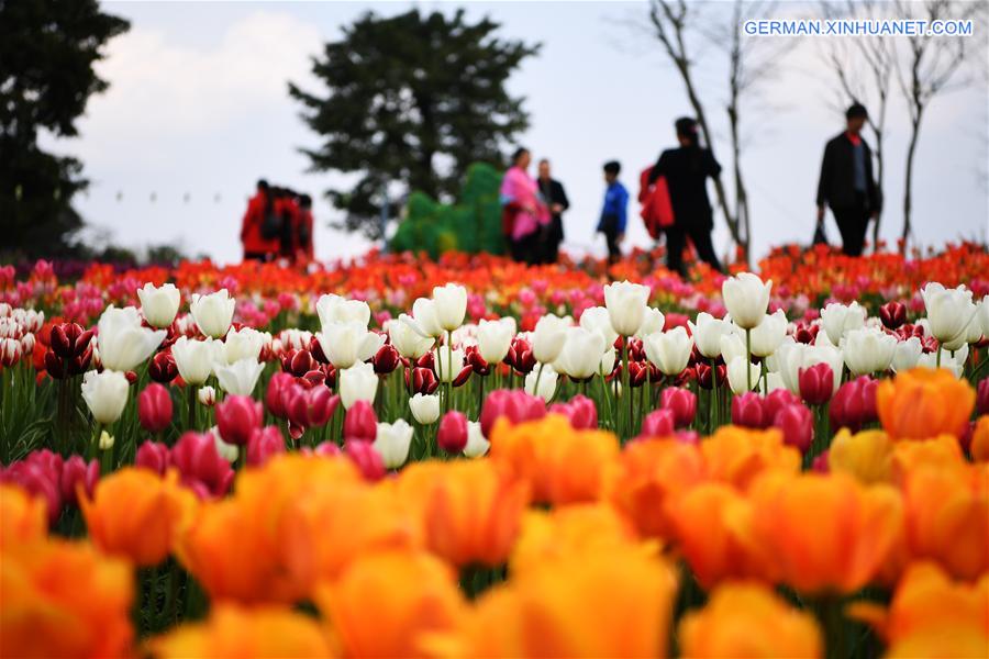 CHINA-CHONGQING-FLOWERS(CN)