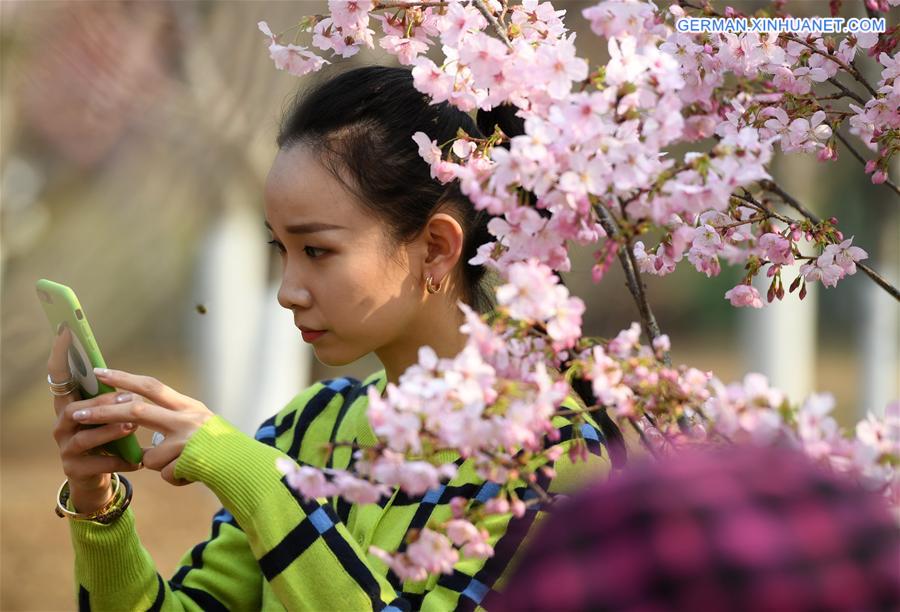 CHINA-SPRING-SCENERY (CN)