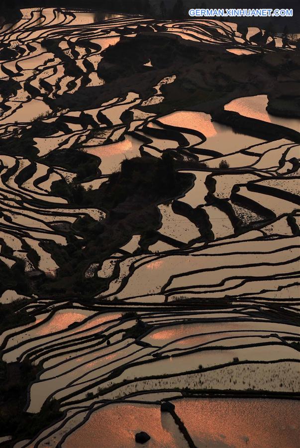 CHINA-YUNNAN-HANI TERRACE-SCENERY (CN)