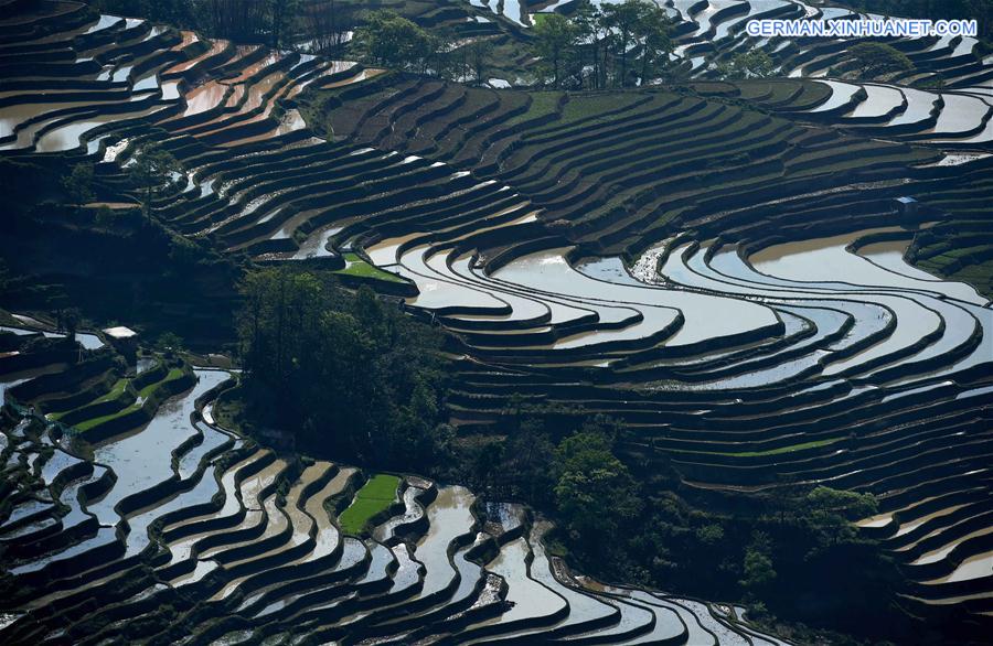CHINA-YUNNAN-HANI TERRACE-SCENERY (CN)