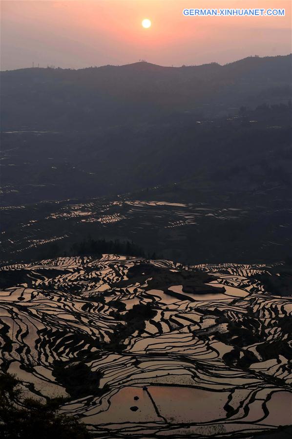 CHINA-YUNNAN-HANI TERRACE-SCENERY (CN)
