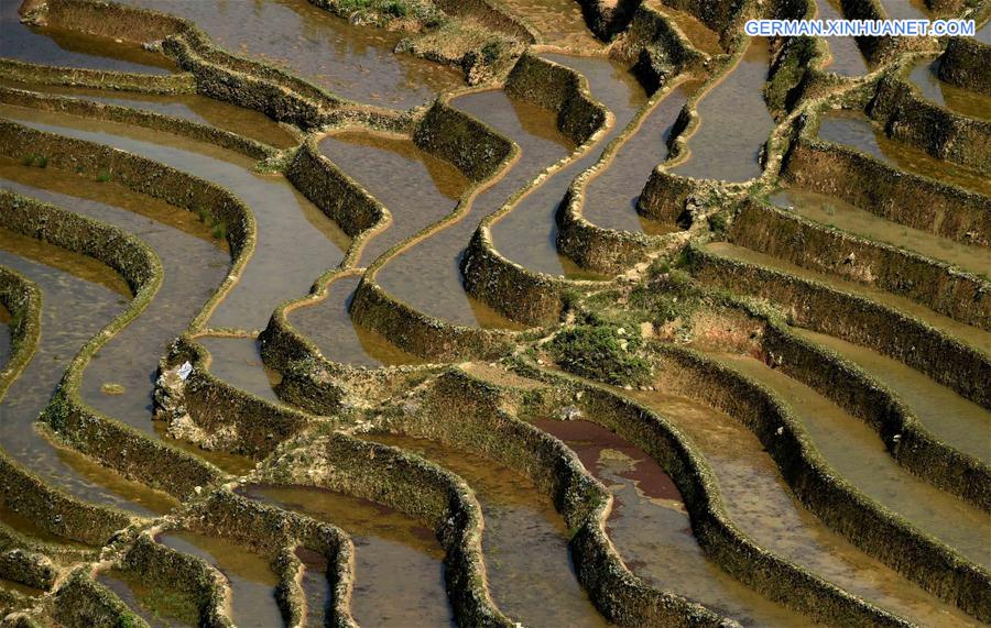 CHINA-YUNNAN-HANI TERRACE-SCENERY (CN)