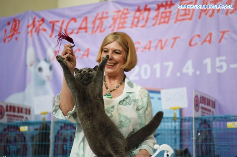 CHINA-LIAONING-SHENYANG-CAT SHOW (CN)