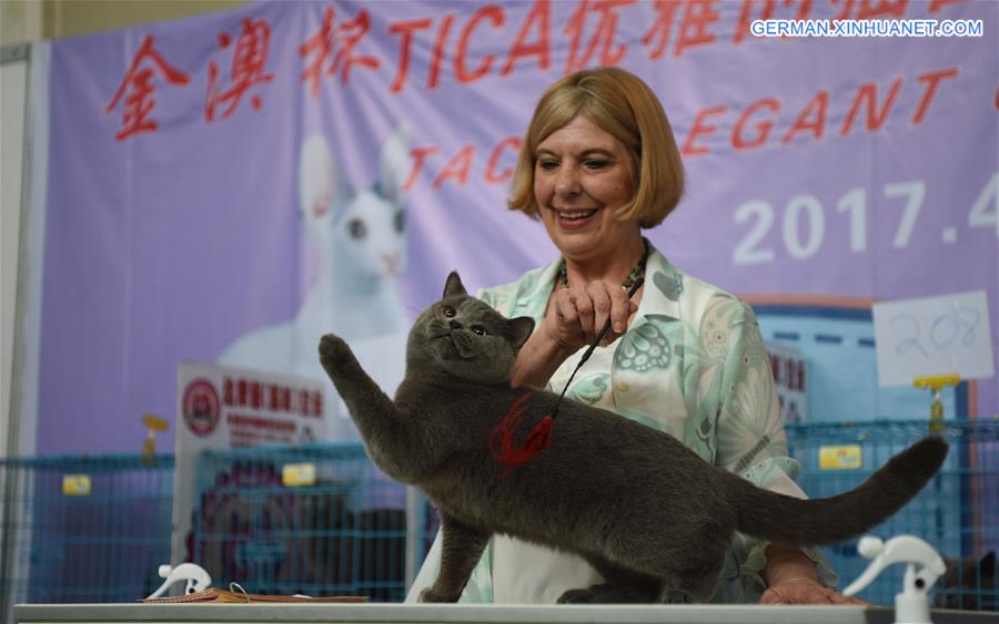 CHINA-LIAONING-SHENYANG-CAT SHOW (CN)
