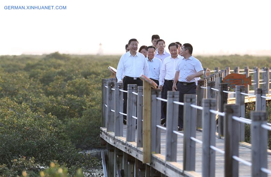 CHINA-GUANGXI-XI JINPING-INSPECTION (CN)