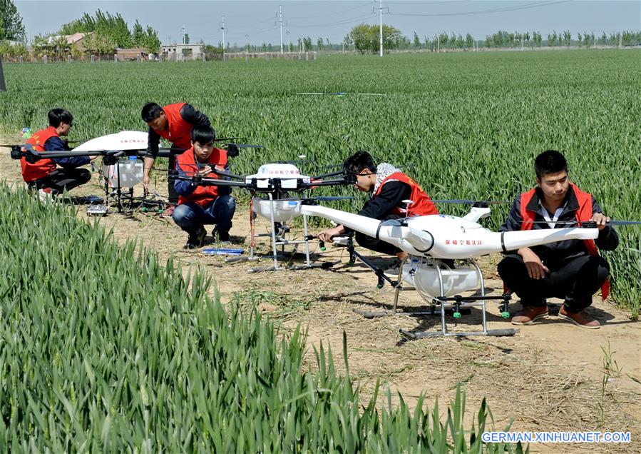 CHINA-HEBEI-DRONE-PESTICIDE (CN)