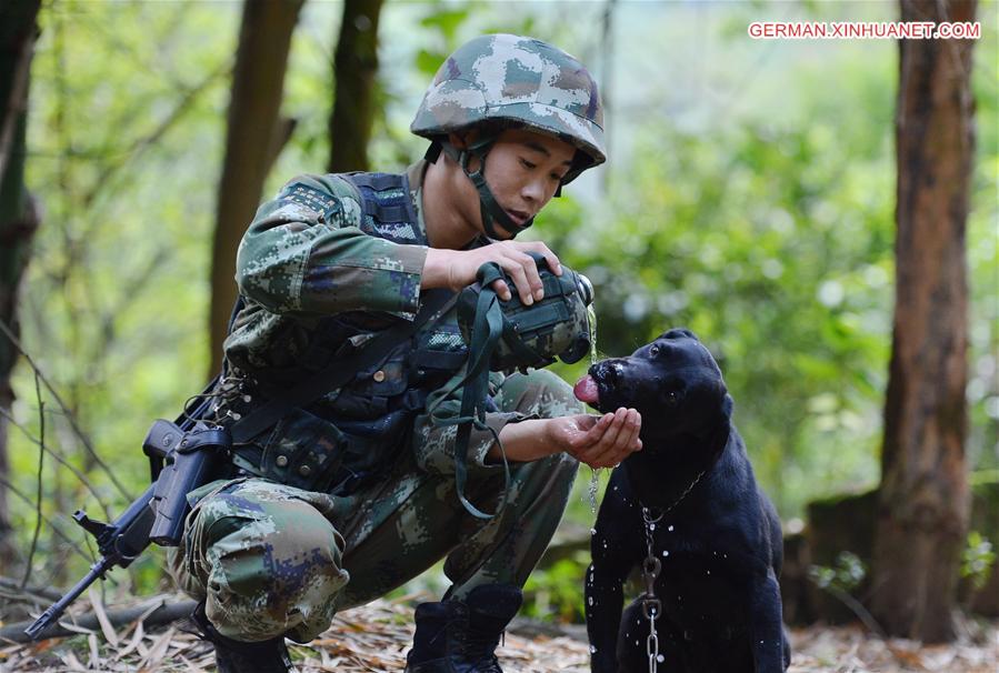 #CHINA-CHONGQING-POLICE DOG (CN)