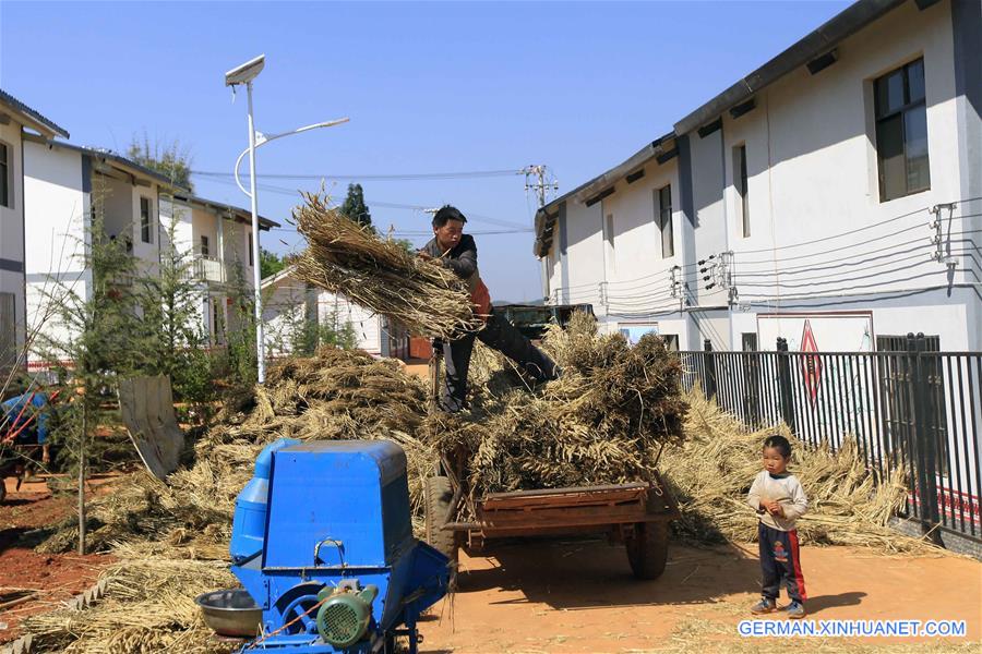 #CHINA-YUNNAN-LUQUAN-POVERTY RELIEF (CN)*