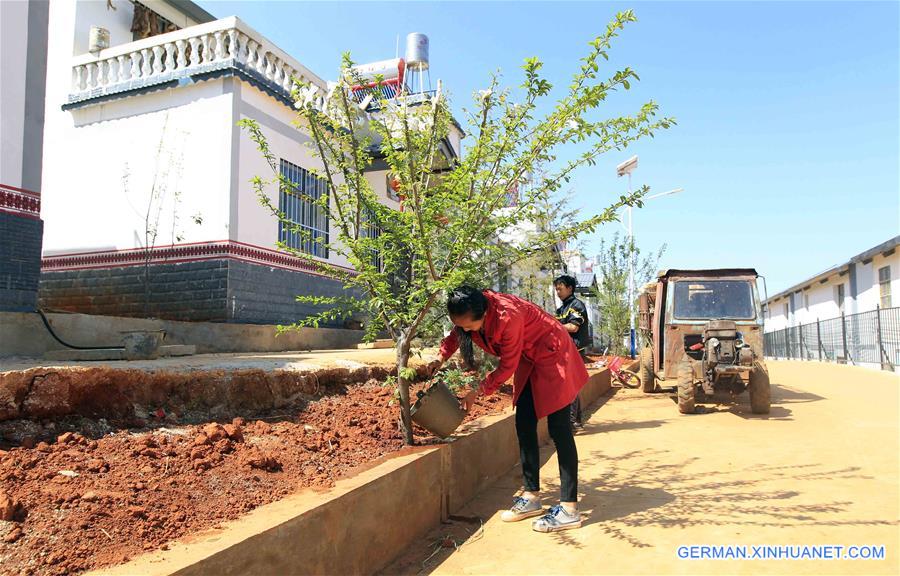 #CHINA-YUNNAN-LUQUAN-POVERTY RELIEF (CN)*