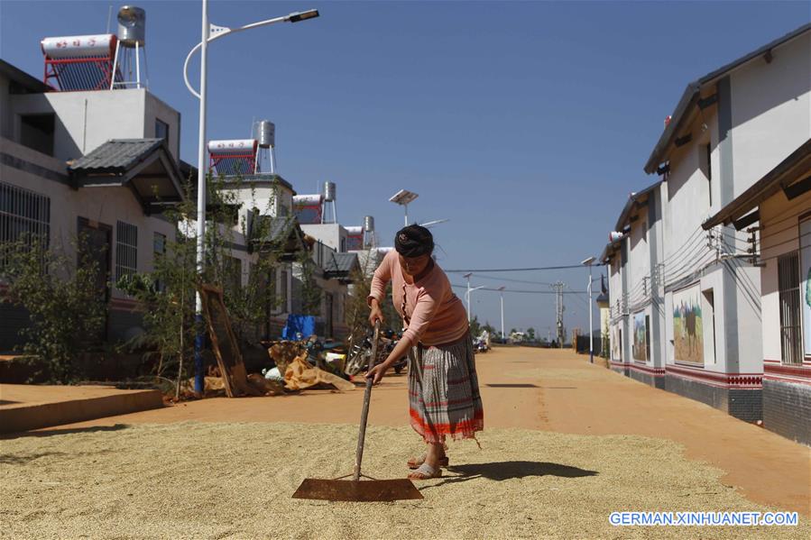 #CHINA-YUNNAN-LUQUAN-POVERTY RELIEF (CN)*