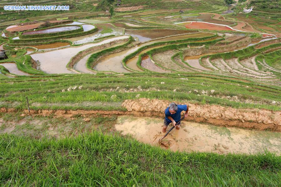 #CHINA-GUIZHOU-SUMMER-AGRICULTURE (CN)