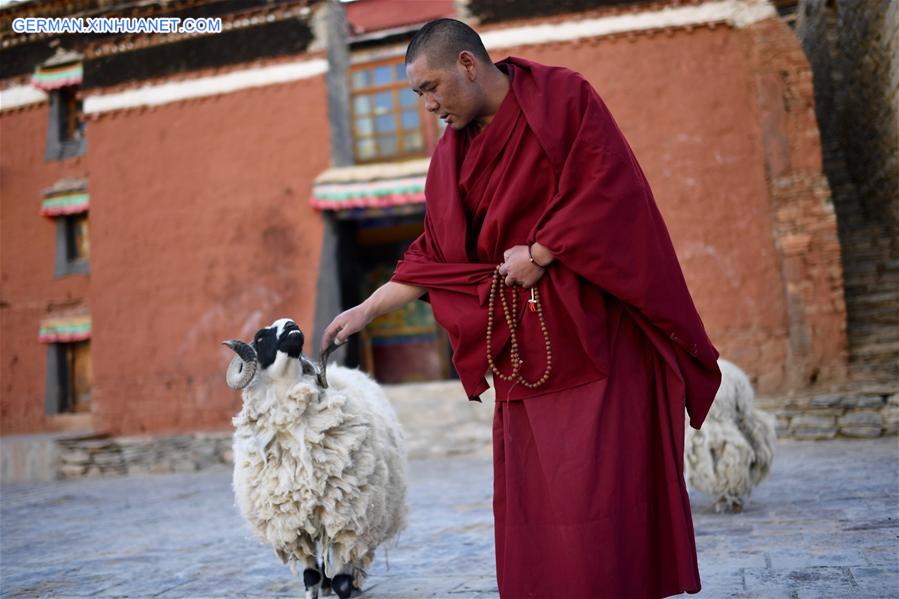 CHINA-TIBET-RONGPU MONASTERY-BUDDHISM-LIFE(CN)