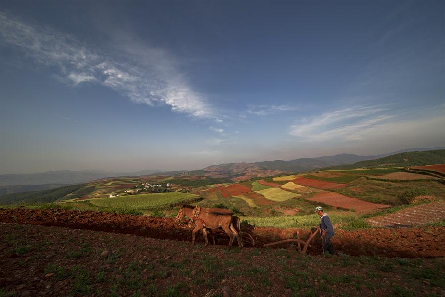 CHINA-YUNNAN-DONGCHUAN RED LAND-SCENERY (CN)