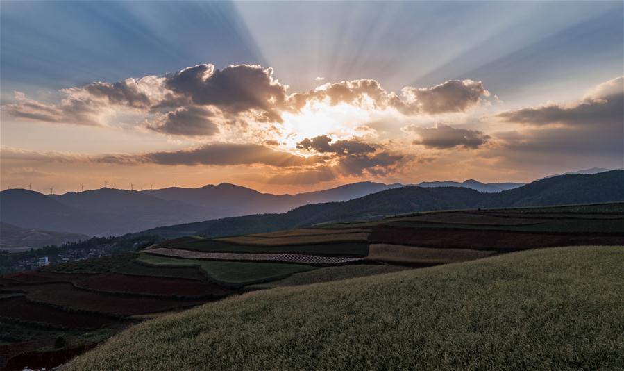 CHINA-YUNNAN-DONGCHUAN RED LAND-SCENERY (CN)