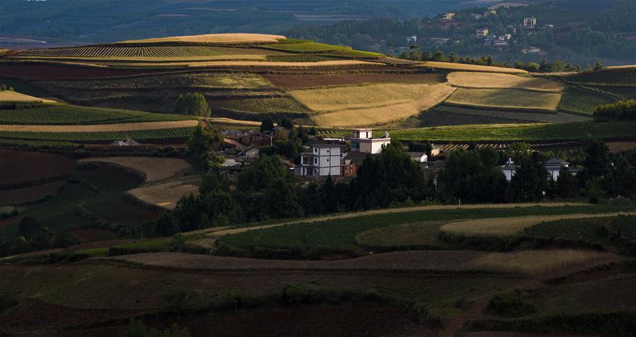 CHINA-YUNNAN-DONGCHUAN RED LAND-SCENERY (CN)