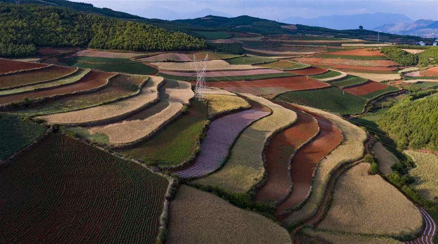 CHINA-YUNNAN-DONGCHUAN RED LAND-SCENERY (CN)