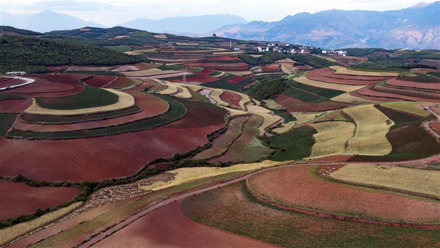 CHINA-YUNNAN-DONGCHUAN RED LAND-SCENERY (CN)