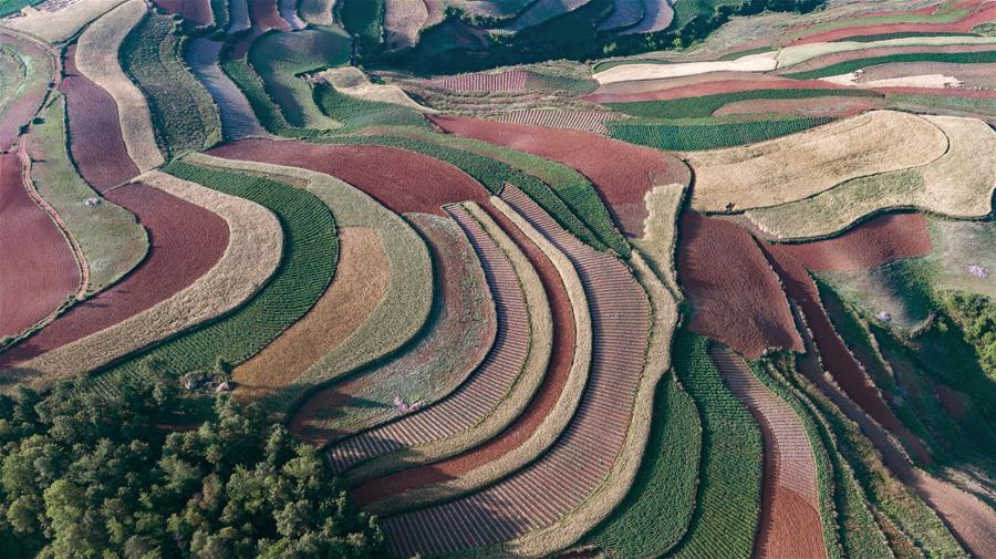 Dongchuan Rotland in Yunnan Xinhua