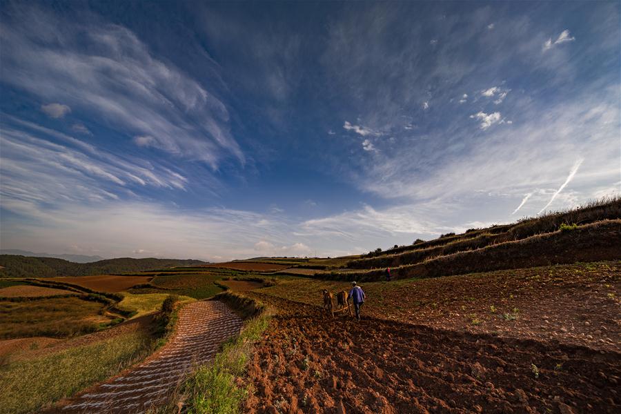 CHINA-YUNNAN-DONGCHUAN RED LAND-SCENERY (CN)